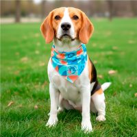 Hoppla Tyson Small Polyester Dog Bandana